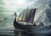 Как назывались корабли викингов?